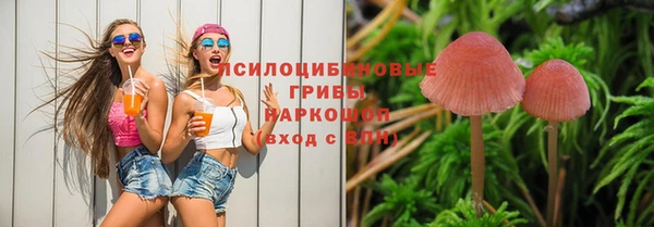 дурь Осинники