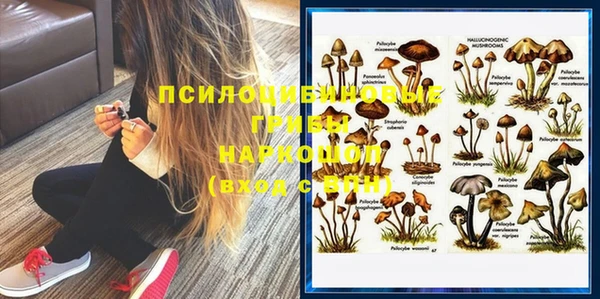 дурь Осинники