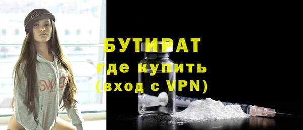 шишки Сураж