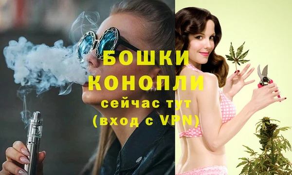 дурь Осинники