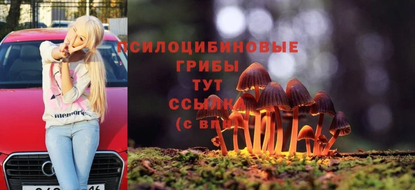 дурь Осинники